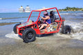 Monster Buggies (Double)