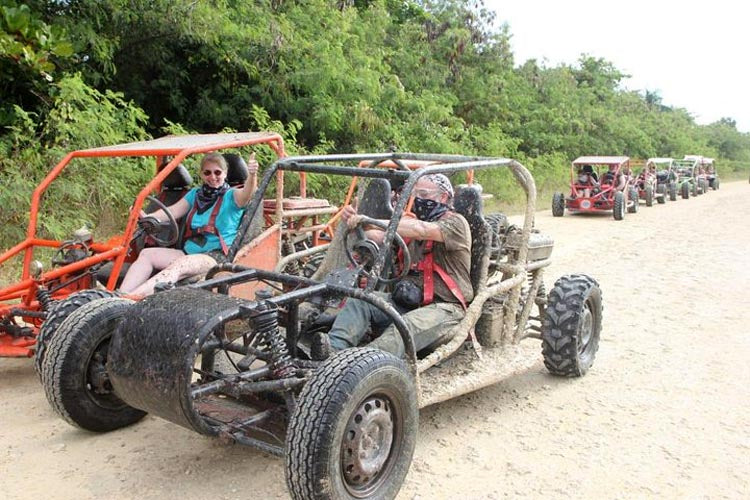 Monster Buggies (Double)