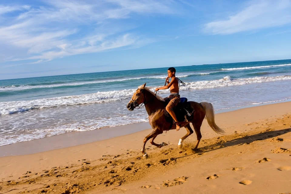 Horse Riding