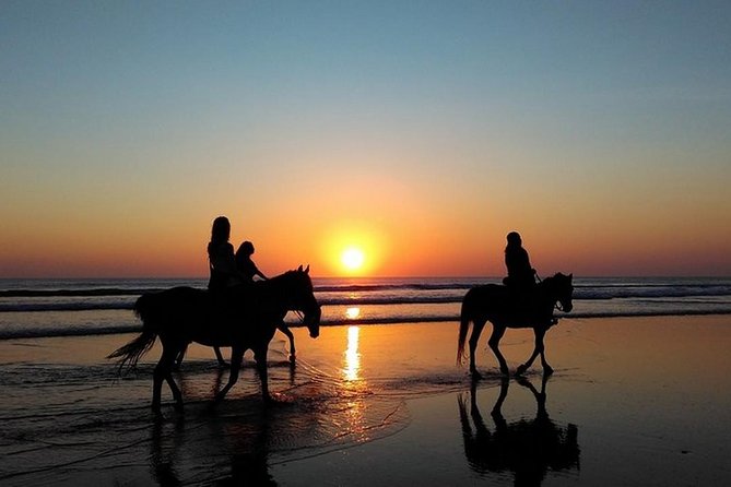 Horse Riding