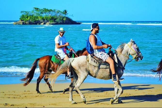 Horse Riding