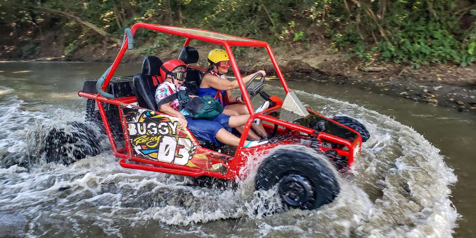 Monster Buggies ( Double)