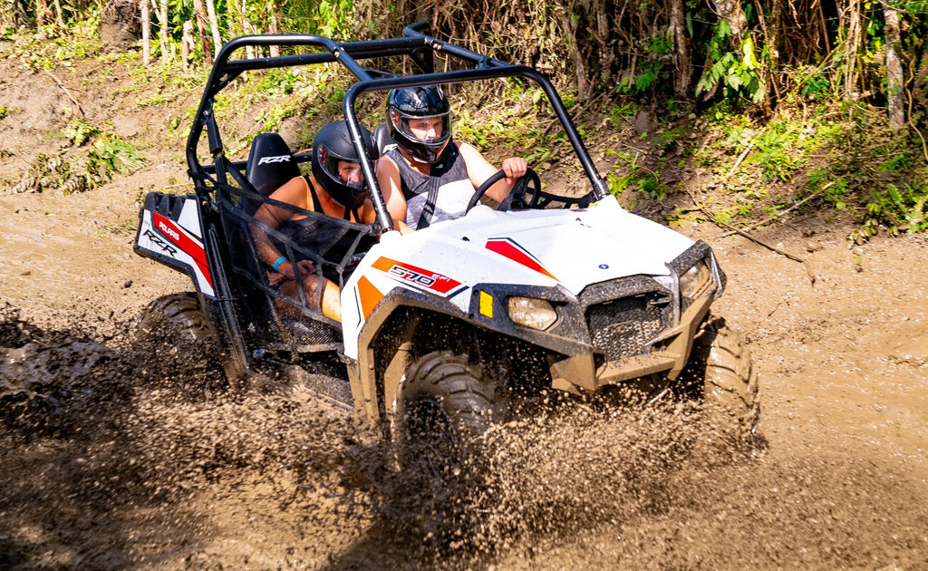 Monster Buggies (Double)