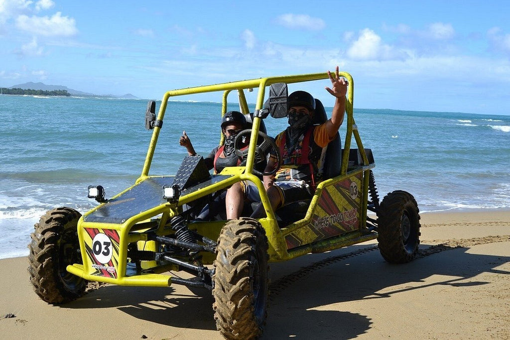 Monster Buggies (Double)