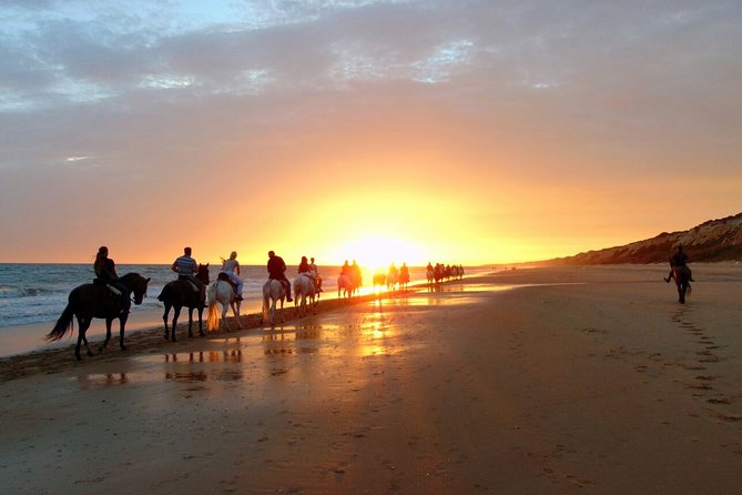 Horse Riding