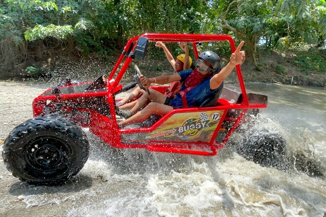 Monster Buggies (Double)
