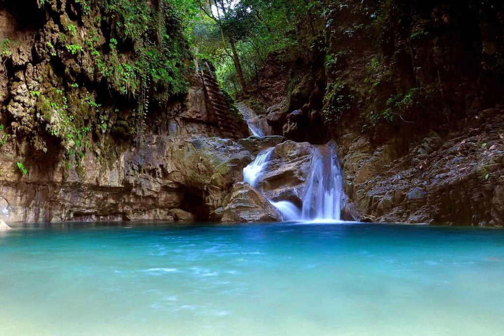 Wild Adventure + Damajagua